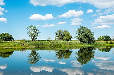 Led na Labi komplikuje plavbu, vodohospodáři jsou ve střehu kvůli oblevě