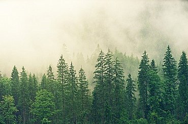 Švédsky súd rozhodol, že aktivistka Thunbergová ani jej stúpenci nemôžu žalovať štát pre klimatické opatrenia