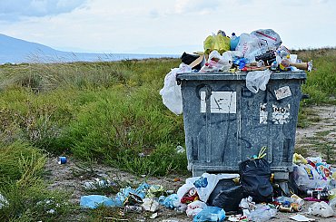 Ukliďme Česko a ÁMOS vision spojily síly: výzva k úklidu se dostává přímo do škol a domovů seniorů