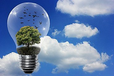 Sustainable finance rules set to fully enter real economy in 2025 – finance industry initiative