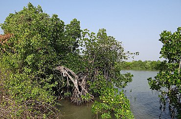 Středočeský kraj dá 26,5 mil. Kč na výstavbu a obnovu rybníků, tůní a mokřadů