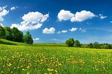 Škrty a čistky Motoristů na MŽP ničí ochranu přírody a prodraží domácnostem energie