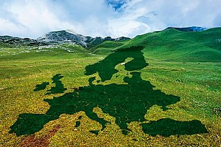 Timmermans: Když přesvědčíme o Zelené dohodě Čechy, tak všechny