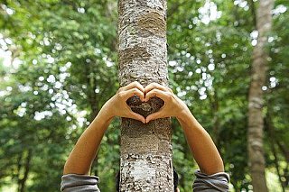 MŽP: ČR se daří snižovat emise skleníkových plynů, zlepšuje se i kvalita ovzduší